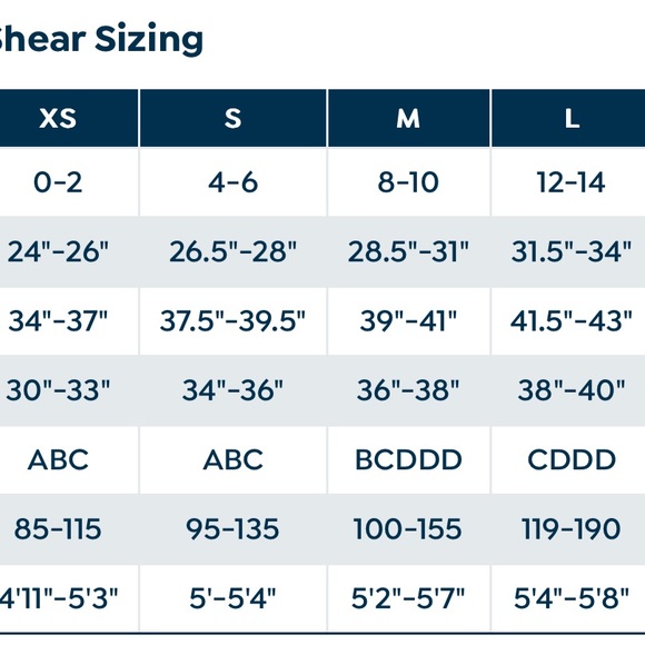 Rhonda Shear 2-pack Molded Cup Bra with Mesh Overlay - Picture 3 of 4